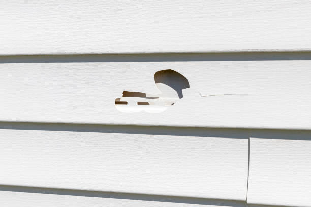 Best Vinyl Siding Installation  in Ashland, OR